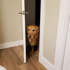 Meet your Posher, Jodi